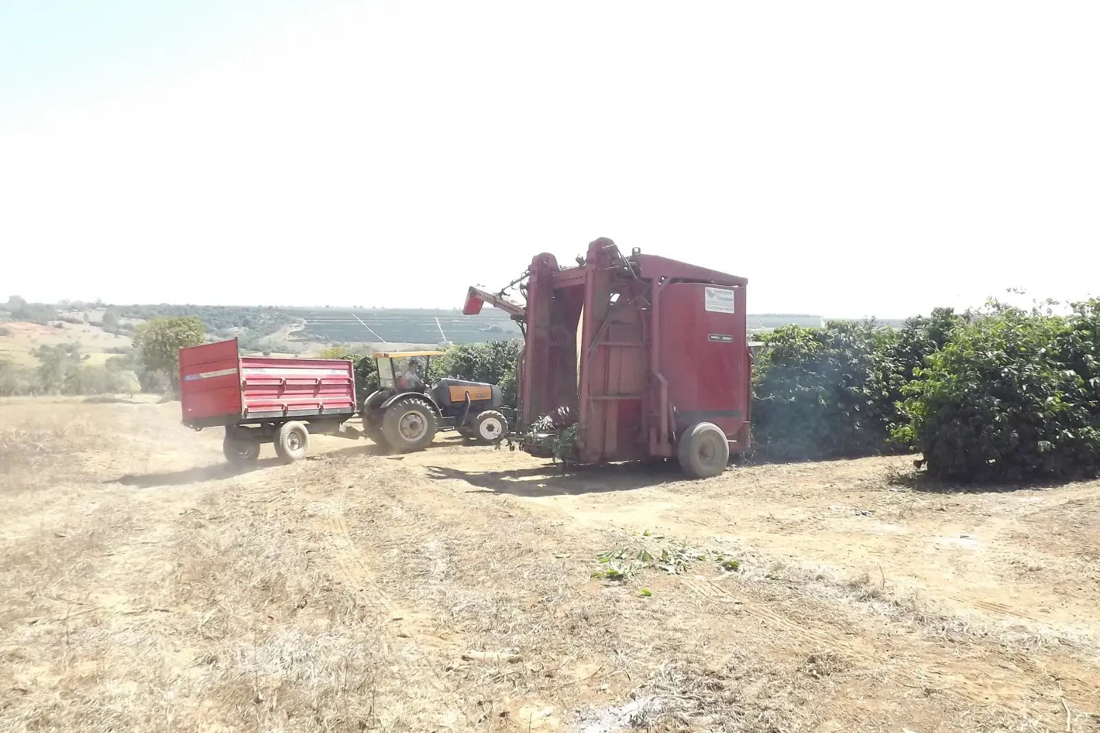 Erntemaschine und Traktor bei der maschinellen Kaffeeernte in Minas Gerais
