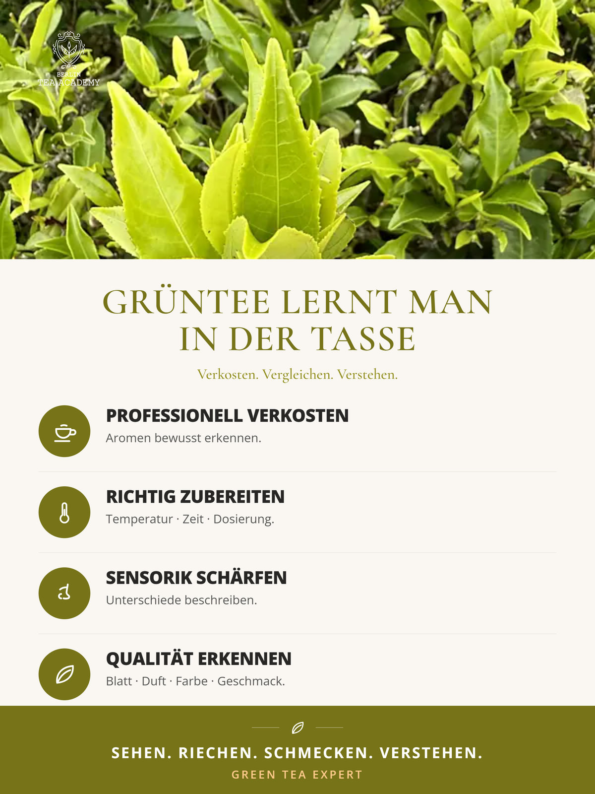 Green Tea Expert