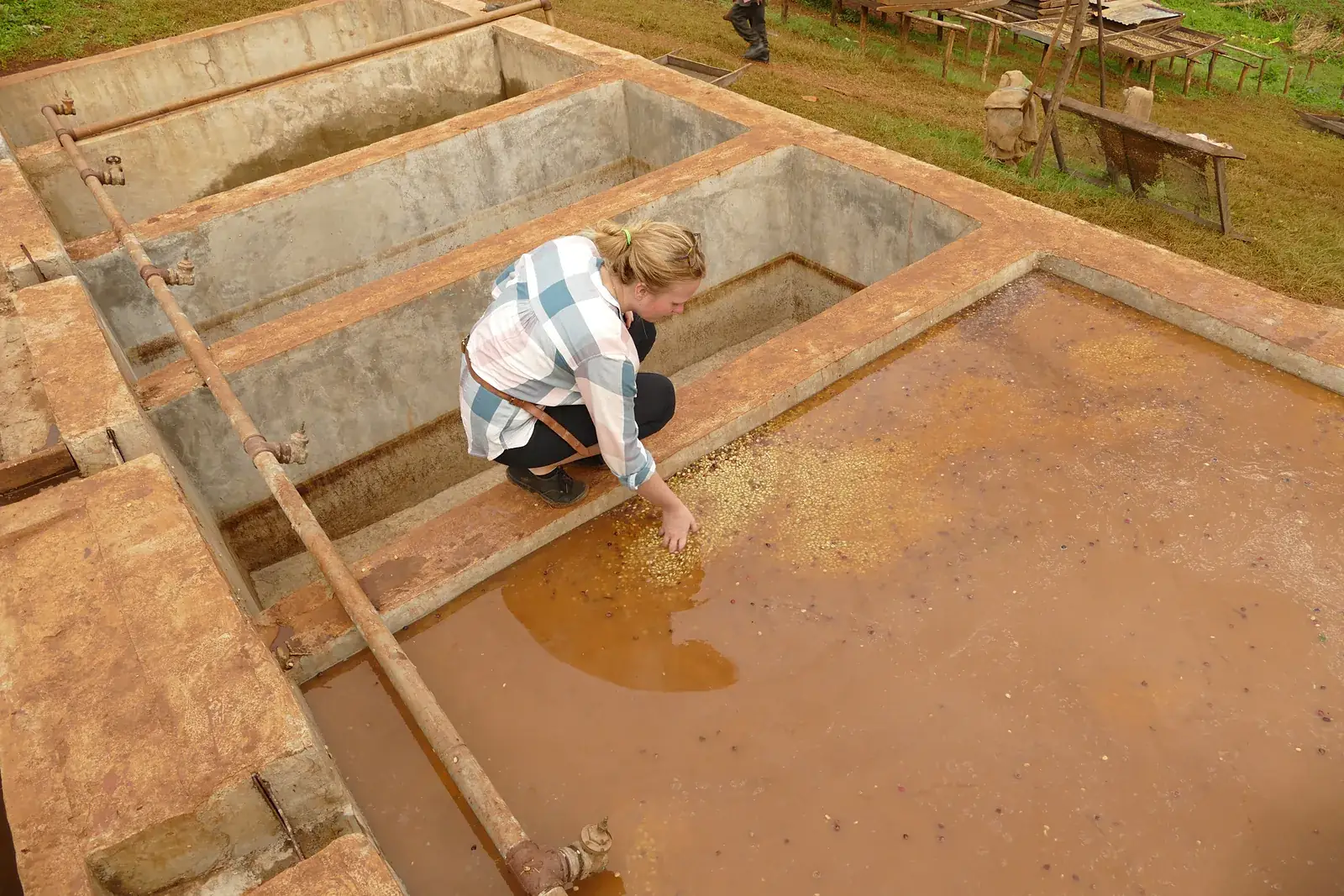 Waschkanäle einer Washing Station in Äthiopien