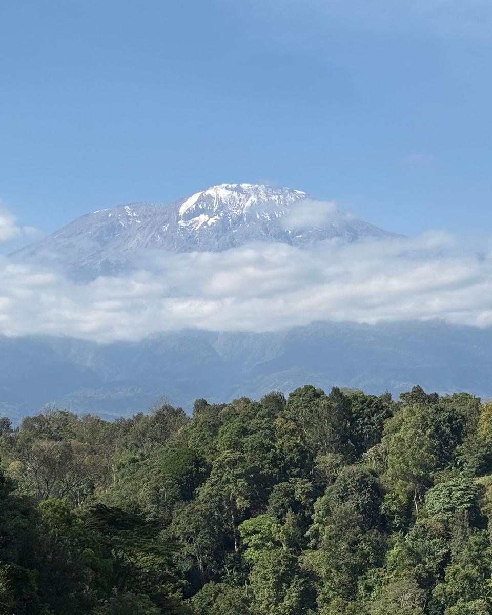 Blick auf den Kilimanjaro über dem Bergwald in Tansania