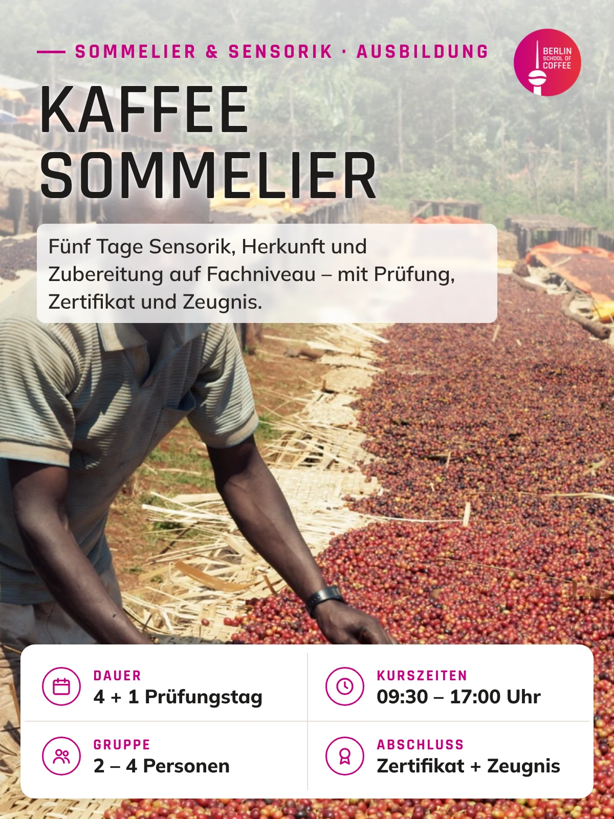 Kaffee Sommelier – Kurs an der Berlin School of Coffee in Berlin: Dauer, Kurszeiten, Gruppengröße und Abschluss