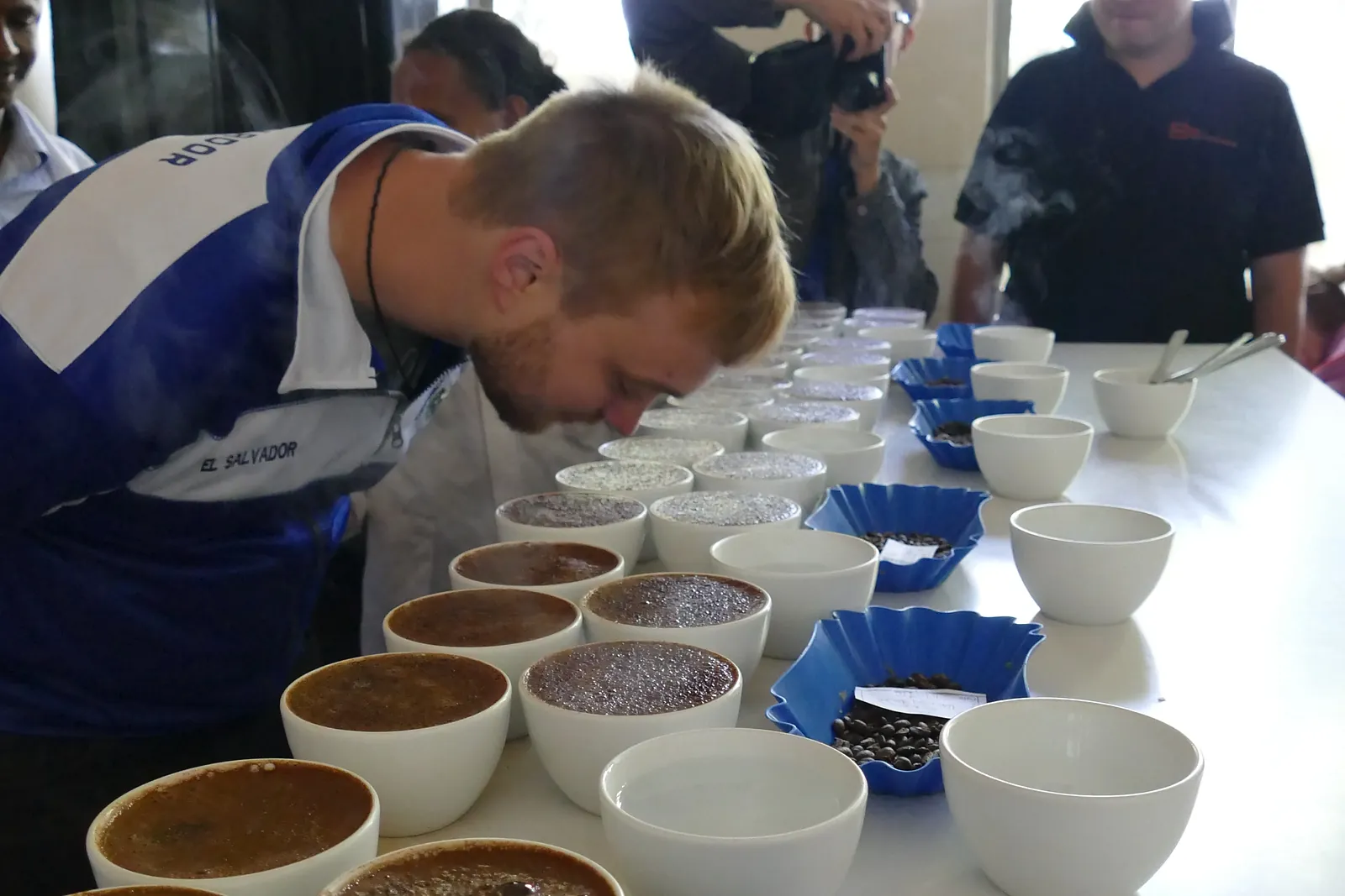 Cupping mit mehreren äthiopischen Kaffees in Schalen