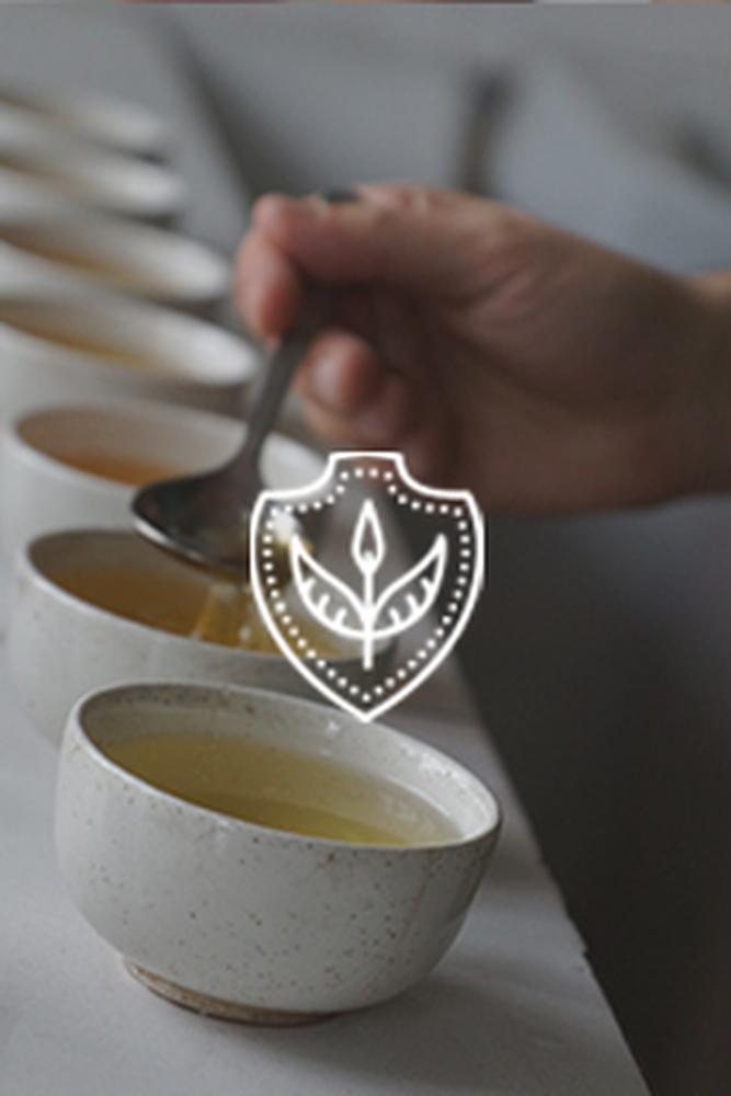 Tea Expert