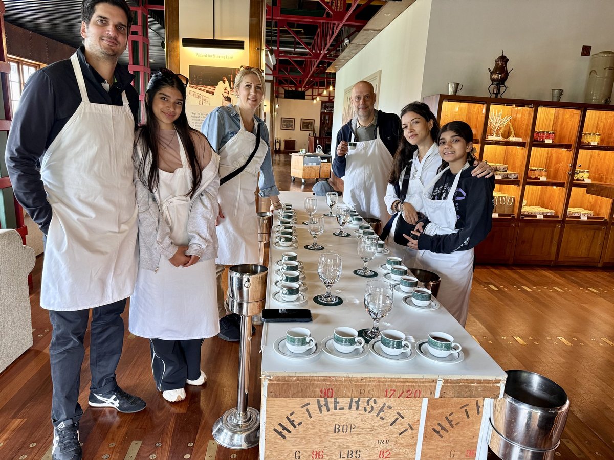 Tee-Cupping und Beratung bei der Berlin Tea Academy