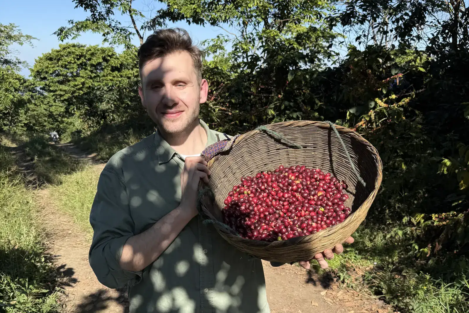 Mann hält einen Erntekorb voller roter Kaffeekirschen