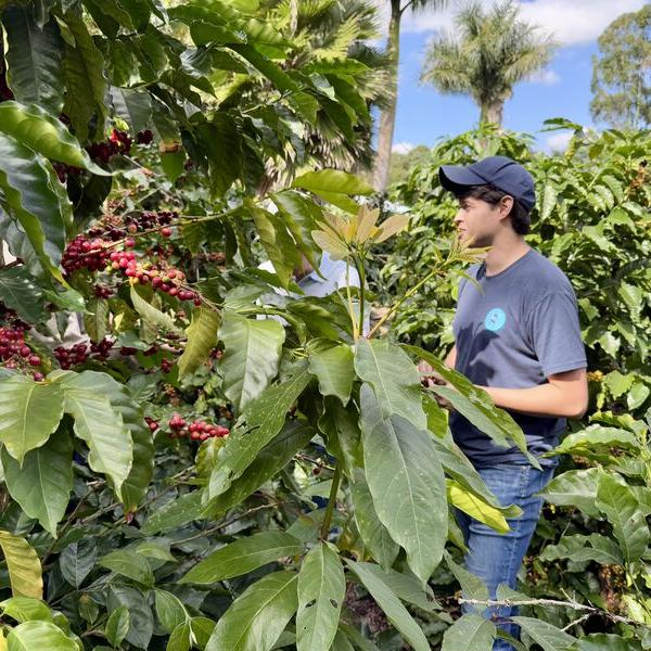 Nicaragua Coffee Trek