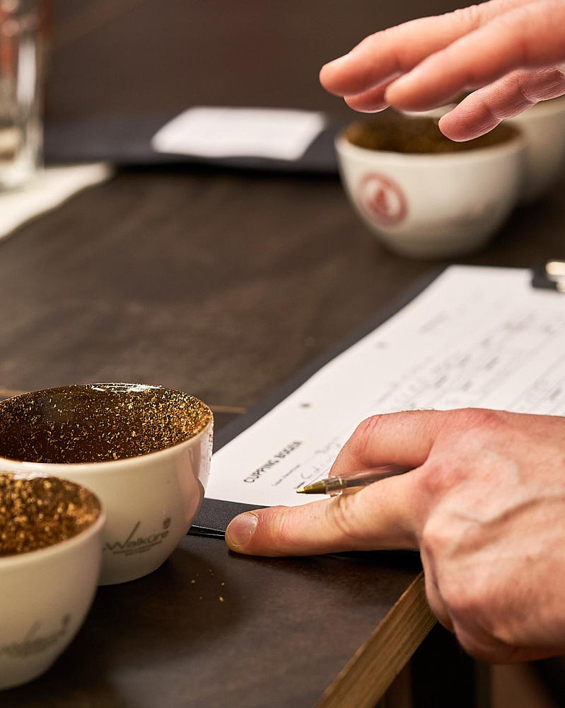 Kaffee Sommelier