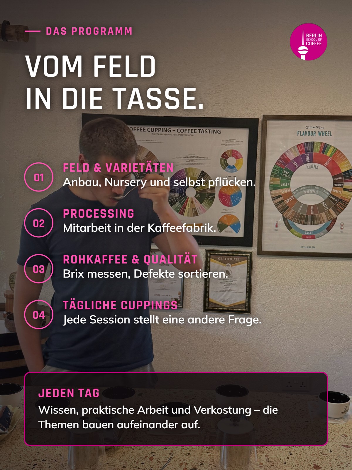 Programm des Tansania Coffee Trek: Feld, Processing, Rohkaffee-Qualität und Cuppings