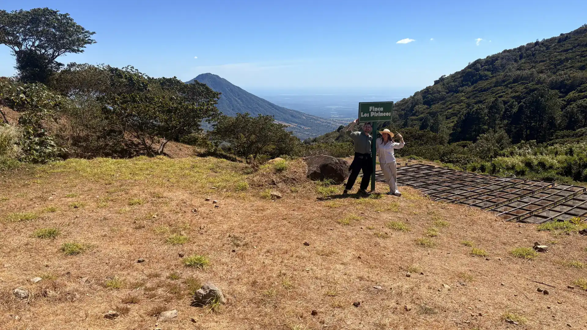 Blick von einem Kaffeehang in El Salvador auf einen Vulkan