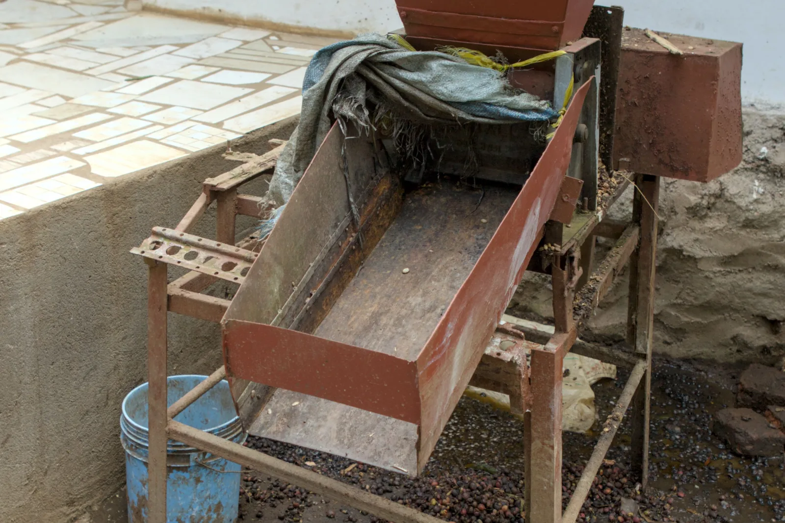 Pulper-Maschine mit Wassertank zur Entfernung des Fruchtfleischs
