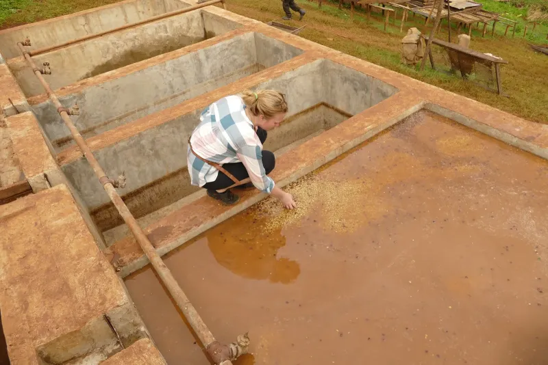 Fermentationsbecken einer Washing Station