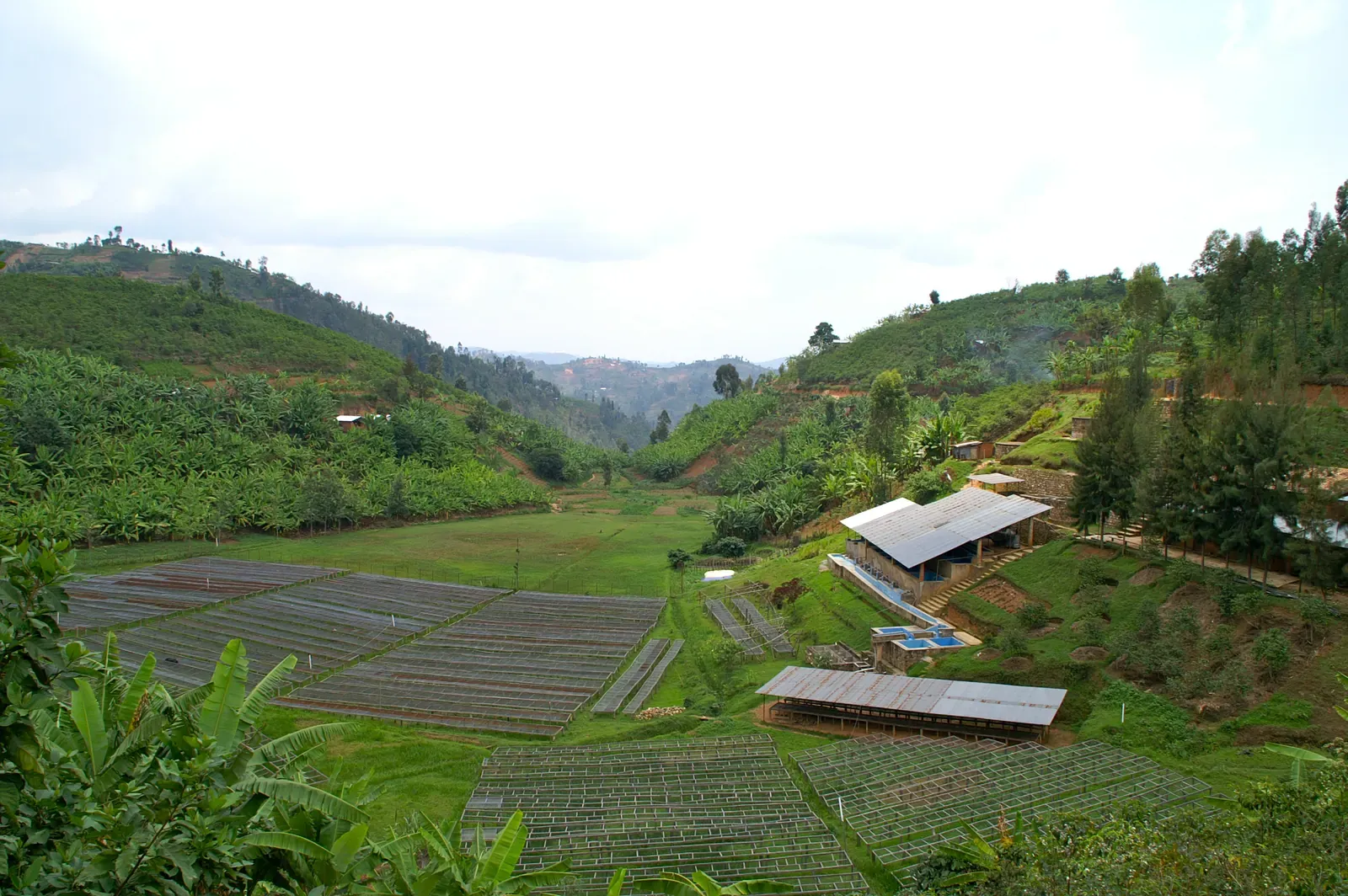 Kaffeetal mit Washing Station in Ruanda – Kaffeereisen der Berlin School of Coffee im Rückblick