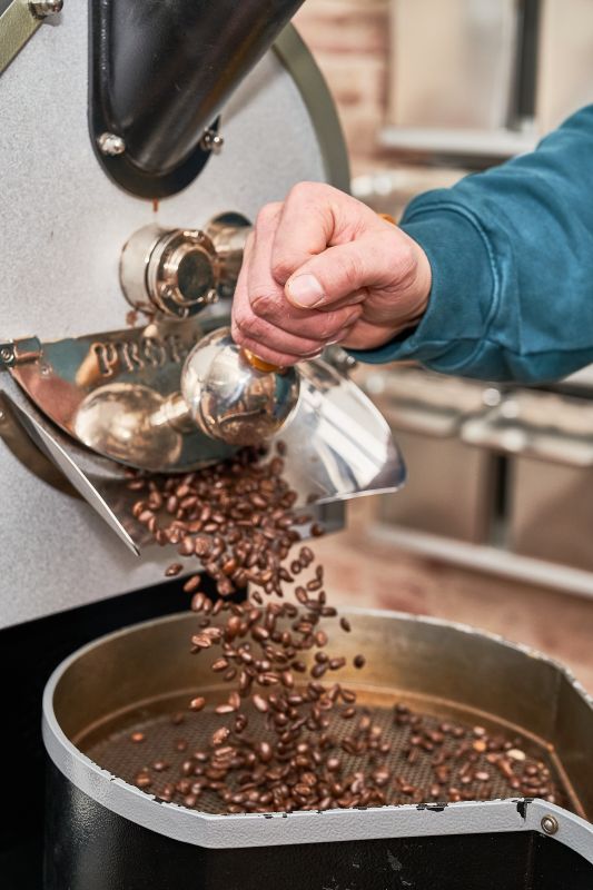 Frisch geröstete Kaffeebohnen fallen aus dem Röster